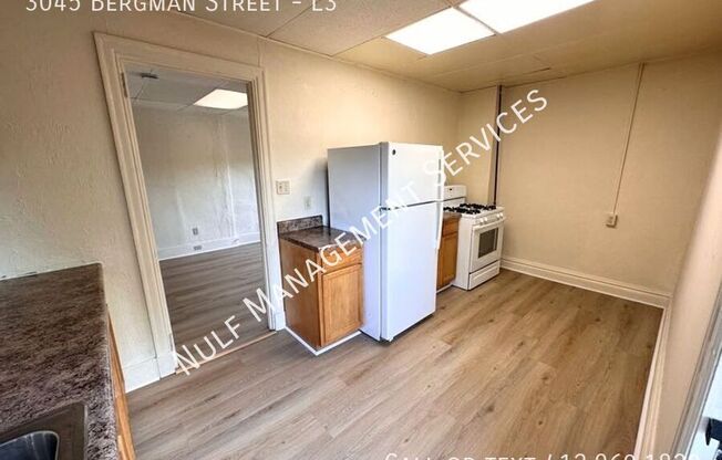 3045 BERGMAN ST