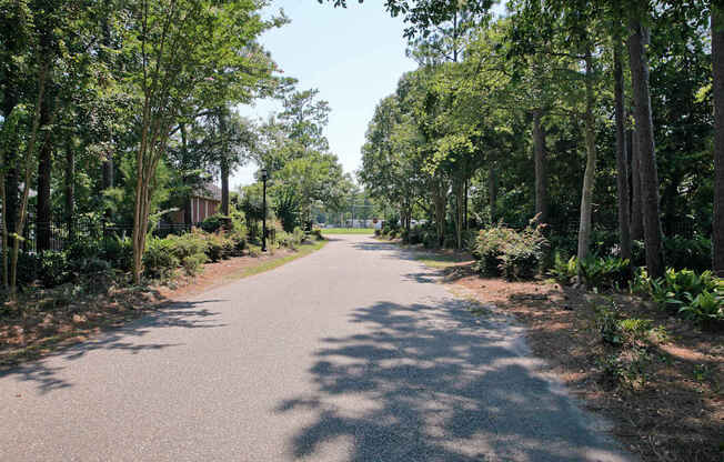 A tree-lined road stretches into the distance. The Cloisters Apartments, 902 67th Avenue North, Myrtle Beach, SC