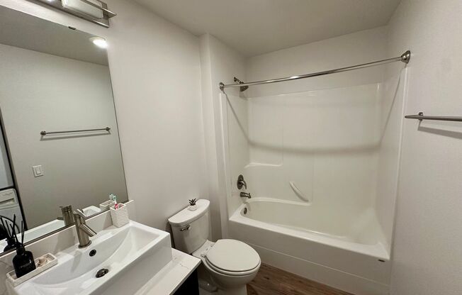 1 bed, 1 bath, 509 sqft, $2,100, Unit Unit 305