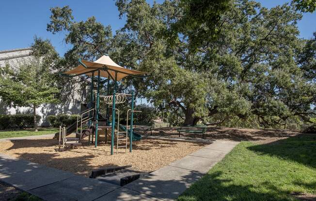 Sunset Summit outdoor playground