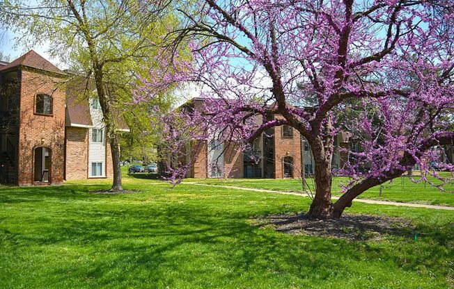 Hazelwood Forest Apartments