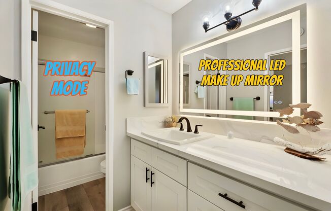 1 bed, 1 bath, 725 sqft, $2,795, Unit 304