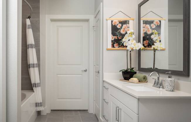 missouri city apartments