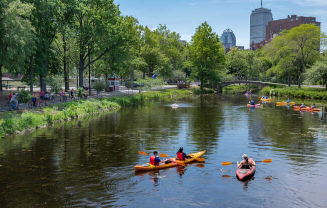 Jump in a kayak and embark through the scenic Charles River.