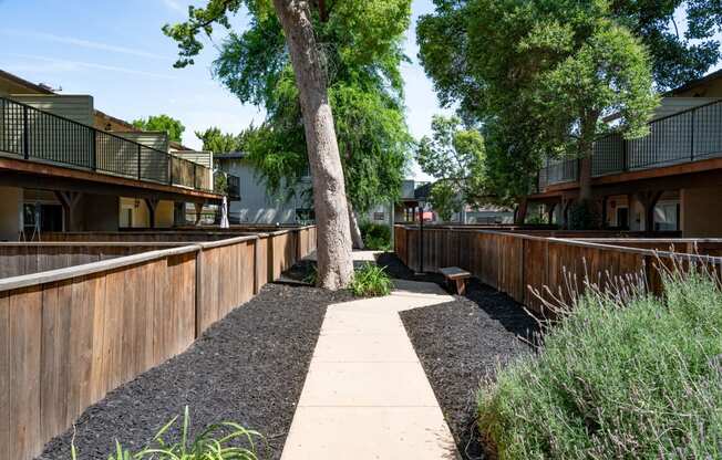 View of sidewalk winding between private patio/balcony with landscaping and shade trees