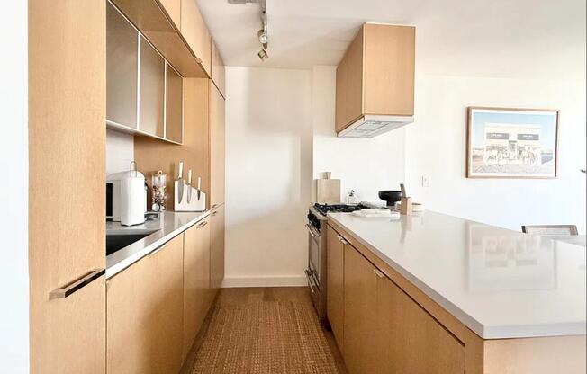 1 bed, 1 bath, $5,650, Unit 15A