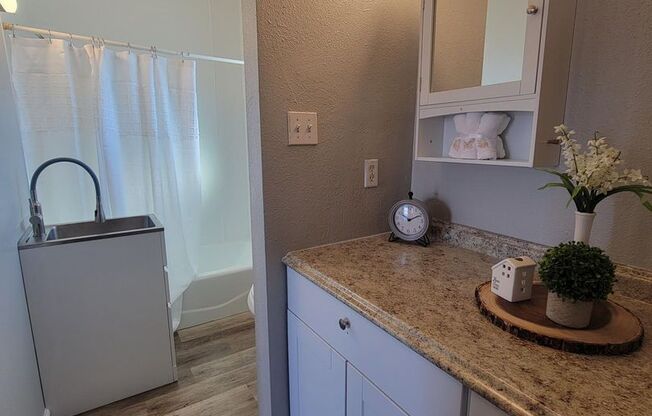 1 bed, 1 bath, 270 sqft, $779