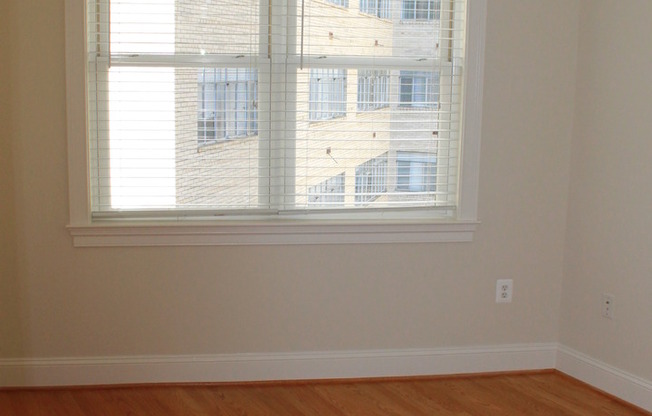 1 bed, 1 bath, 550 sqft, $2,550, Unit 304