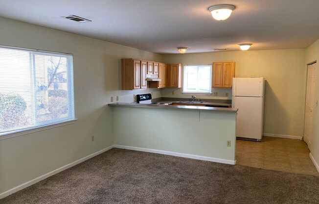 1 bed, 1 bath, 726 sqft, $1,100, Unit 925 Prater Way - 925 #101 Prater Way Sparks, NV 89431