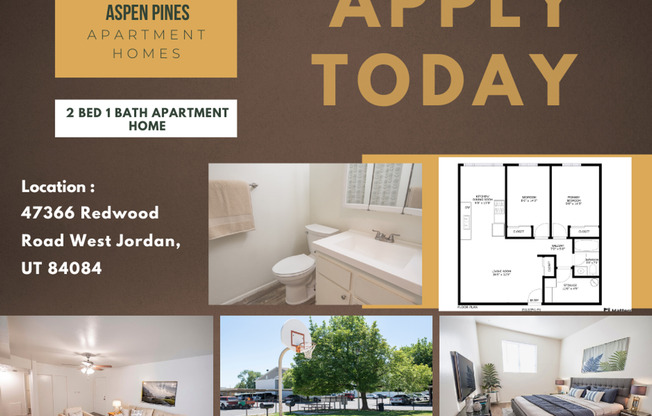 2 beds, 1 bath, 810 sqft, $1,249, Unit 43