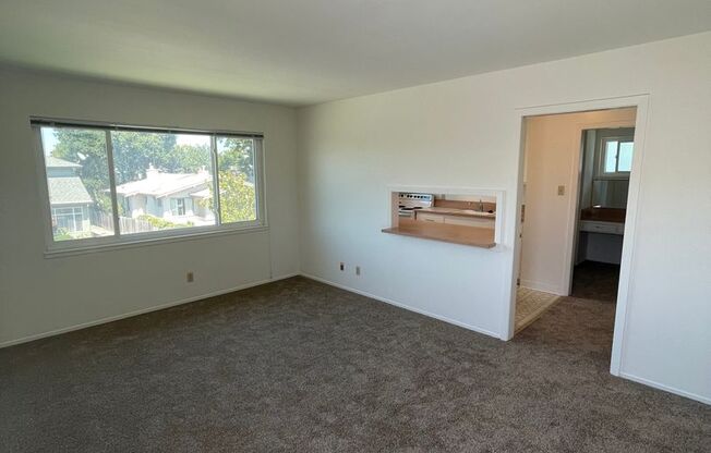 Studio, 1 bath, $1,850