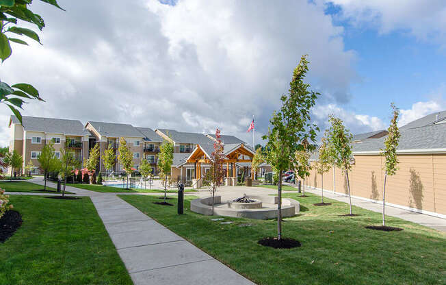 Green grass and sidewalk