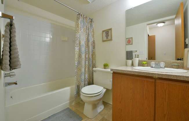 Full Bathroom at Eastgate Woods Apartments, Batavia, OH