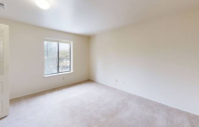 spacious bedroom with a large window and carpet