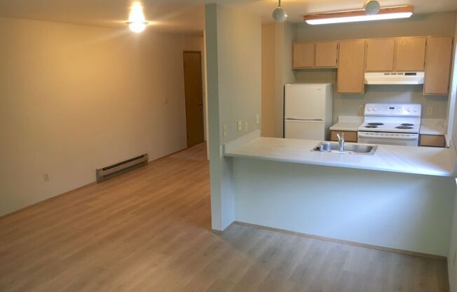 1 bed, 1 bath, 624 sqft, $1,725, Unit 302