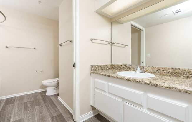 renovated bathroom with plank style flooring