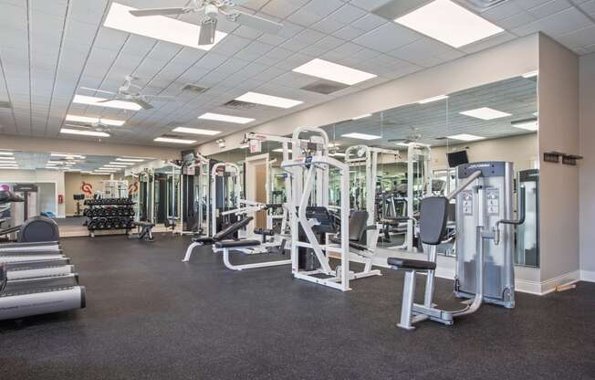 a photo of a gym with cardio equipment