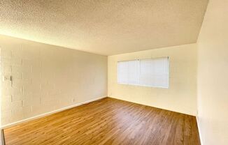 2363 Patton Dr.