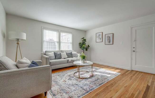A living room with a grey couch, a white coffee table, and a rug.