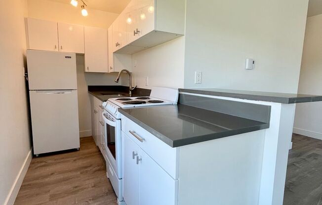 1 bed, 1 bath, 485 sqft, $1,525, Unit 314
