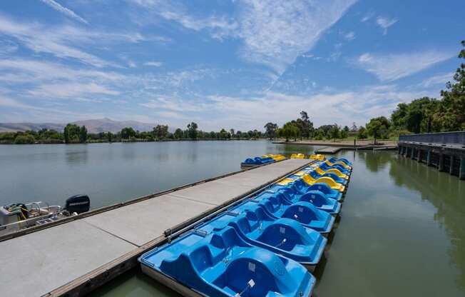 Stunning Mountain Views on Lake Elizabeth near The Estates at Park Place, 94538, CA