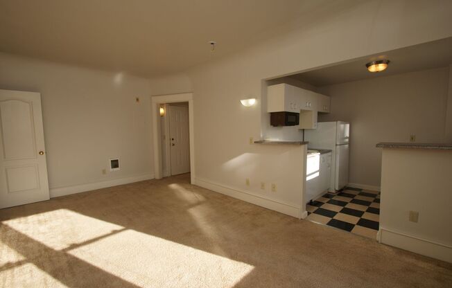 Studio, 1 bath, 405 sqft, $1,195, Unit 315