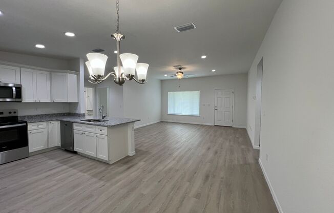 Stunning BRAND NEW UPGRADED 3 Bedroom / 2 Bath Home in Ocklawaha!