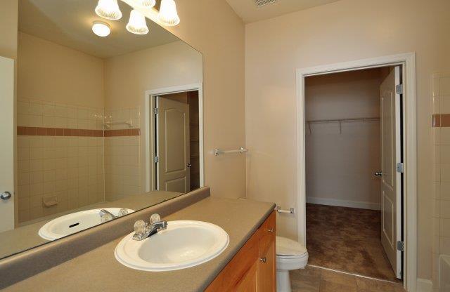 Luxurious Bathroom at The Orleans of Decatur, Decatur, Georgia