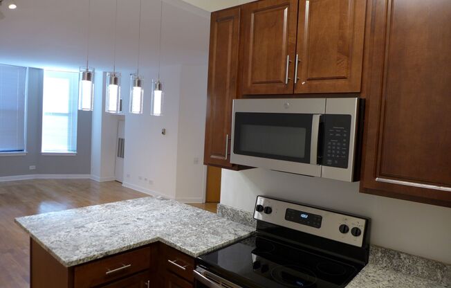 1 bed, 1 bath, 700 sqft, $2,095, Unit 08B