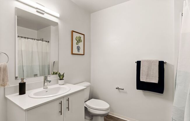 Studio, 1 bath, 309 sqft, $1,175, Unit 313