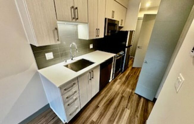 Studio, 1 bath, 316 sqft, $1,295, Unit 205