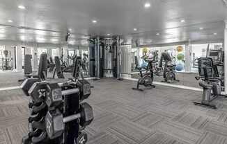 A gym with a variety of equipment including dumbbells and weight machines.