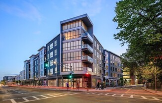 3531 Washington St, Boston MA 205