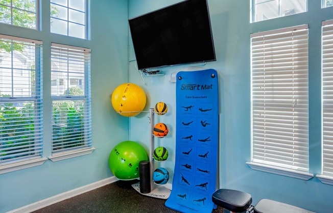 A Smart Mat with exercise balls and a television in a room.