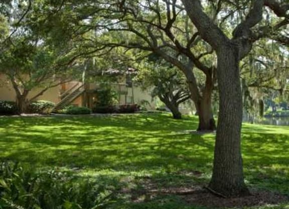 Thumbnail 17 of 22 - Beautiful, mature trees make for ideal scenery at L&#x27;Estancia, Florida, 34231