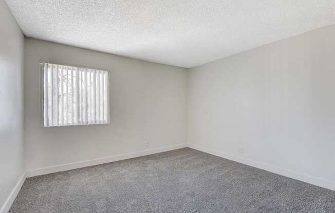A room with a carpeted floor and a window with blinds.