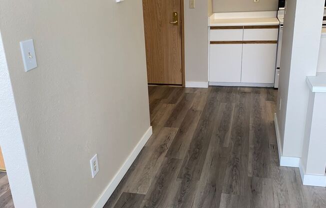 Studio, 1 bath, 462 sqft, $1,250, Unit 305