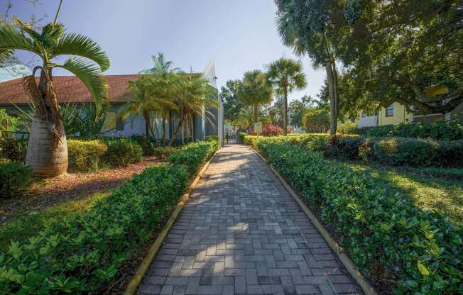 Belara Lakes Apartments in Tampa Florida photo of paved walkway