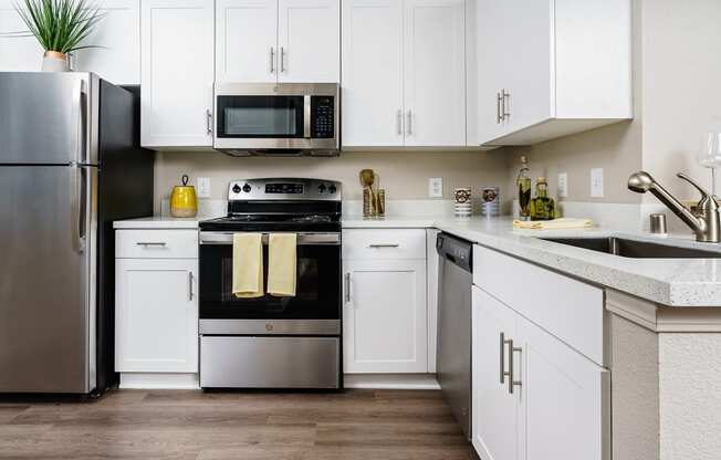 furnished kitchen with stainless steel appliances