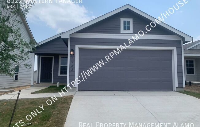 8522 WESTERN TANAGER