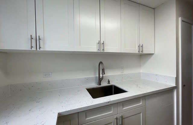 1818Anapuni_KitchenSink