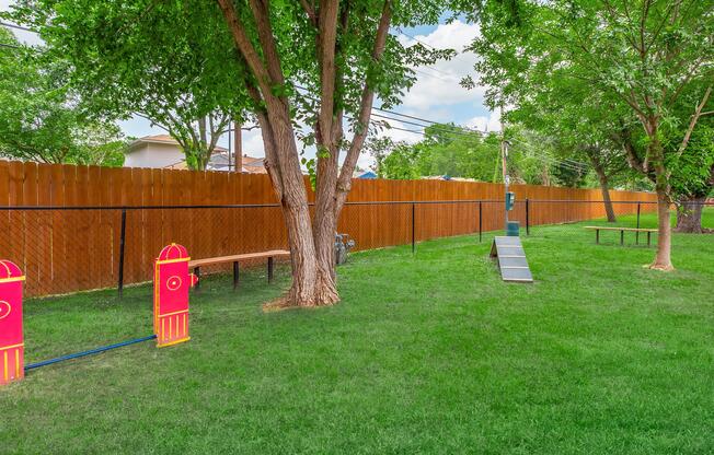 A vibrant outdoor space featuring green grass, two large trees, a wooden fence in the background, and a pet agility setup. There are benches and an inclined ramp for training, surrounded by a well-maintained grassy area, creating a welcoming environment for pets and their owners.
