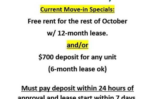 1 bed, 1 bath, 600 sqft, $1,750, Unit 307