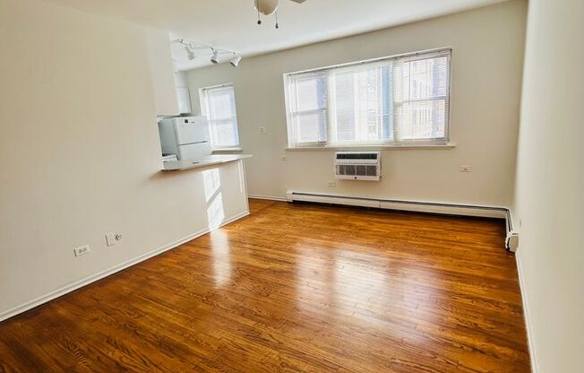 Studio, 1 bath, 356 sqft, $1,280, Unit 410