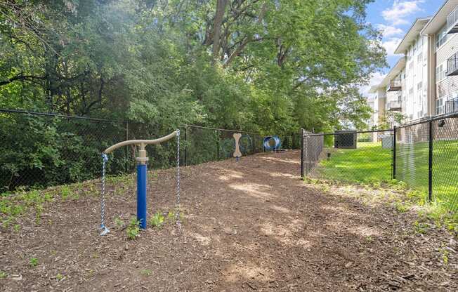 Dog Park