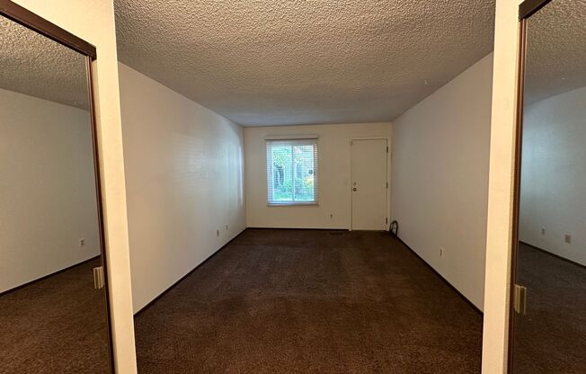 1 bed, 1 bath, $1,200