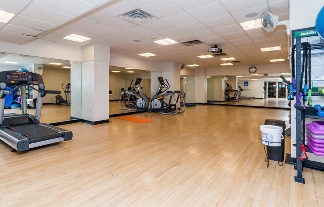 1 bed, 1 bath, 500 sqft, $2,550, Unit 309