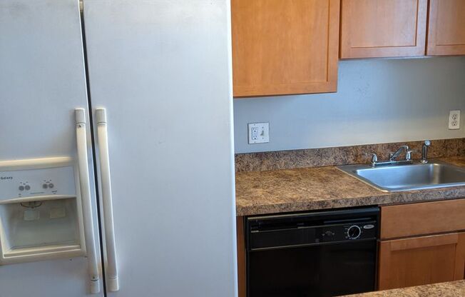 1 bed, 1 bath, $1,225, Unit Unit 102