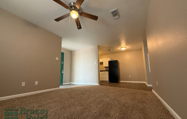 Brazos Point Apartments