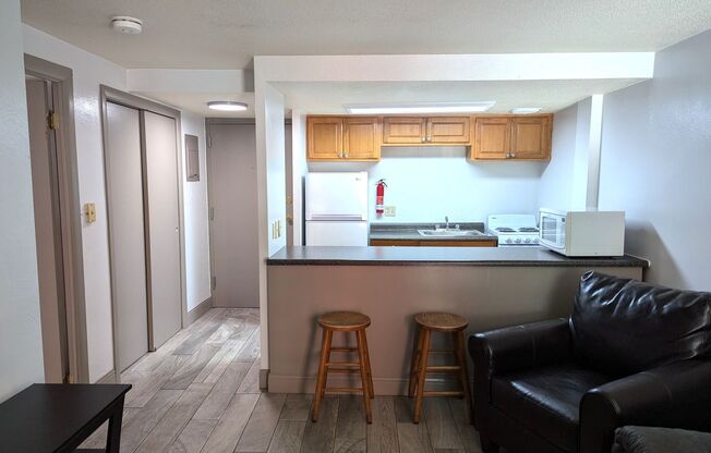 High Rise Living Directly Across the Street from Campus!